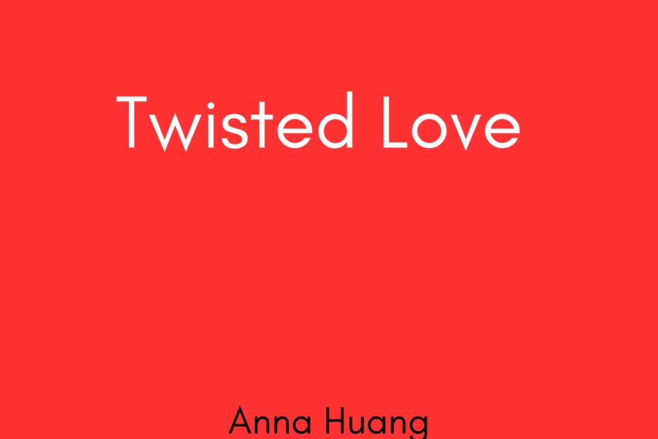 Summary of Twisted Love by Anna Huang